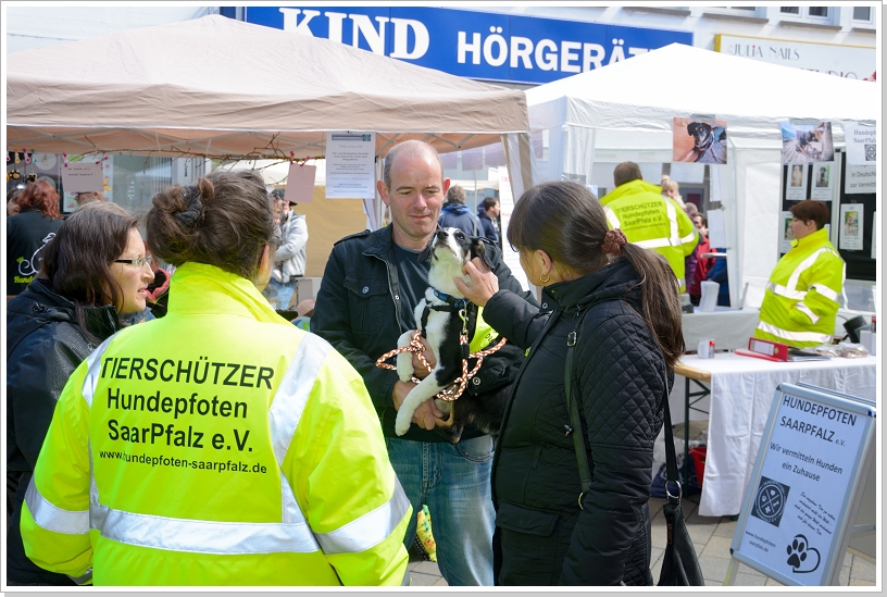 0040_TDH19 (33).jpg